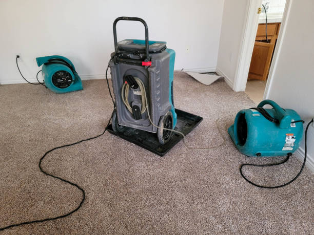 Best Water damage restoration specialists  in Warrior, AL