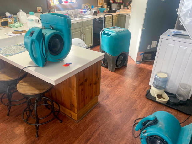  Warrior, AL Water damage restoration Pros