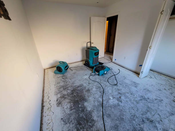 Best Carpet water damage restoration  in Warrior, AL