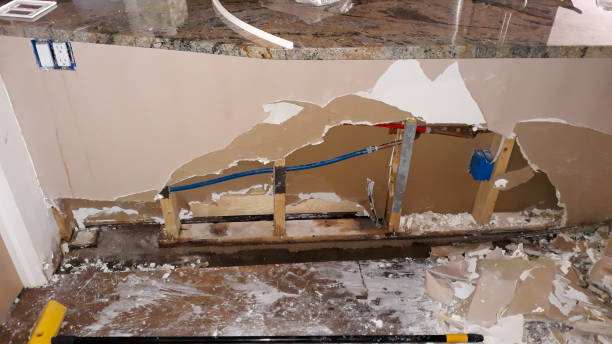 Best Ceiling water damage repair  in Warrior, AL