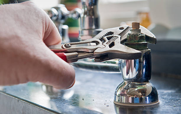 Best Water damage mitigation services  in Warrior, AL