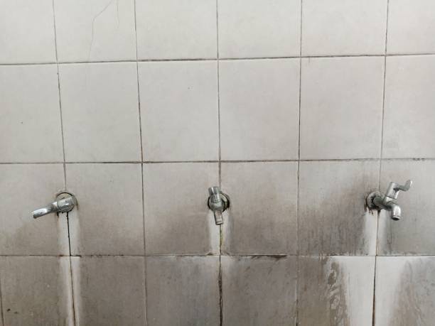 Best Carpet water damage restoration  in Warrior, AL