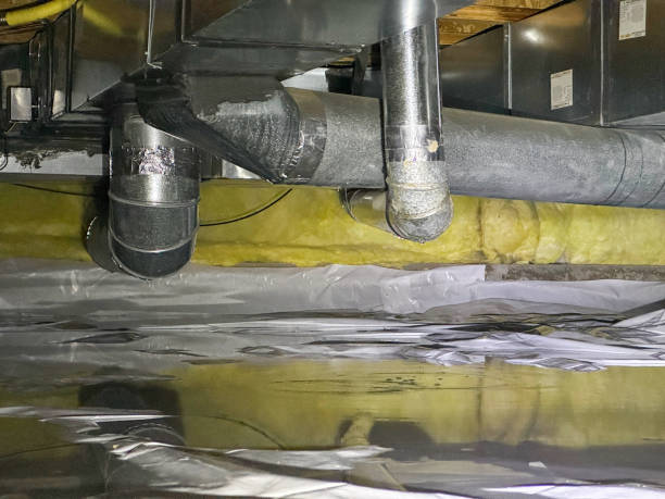 Best 24-hour water damage restoration  in Warrior, AL
